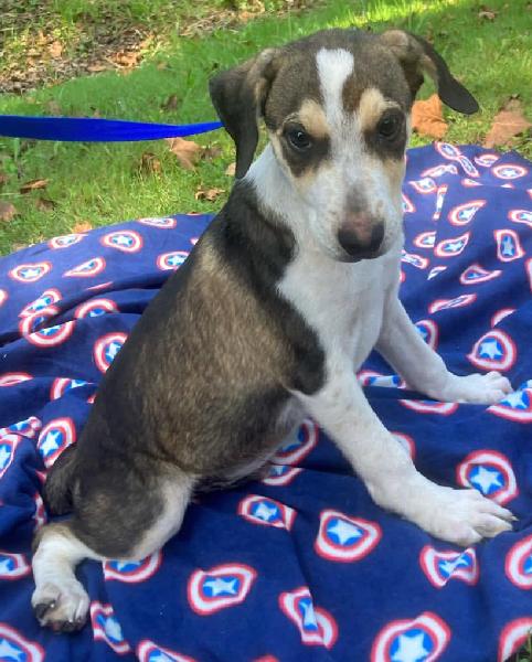 image5